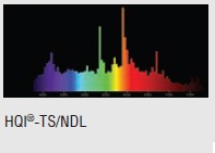  ������ ���� �����